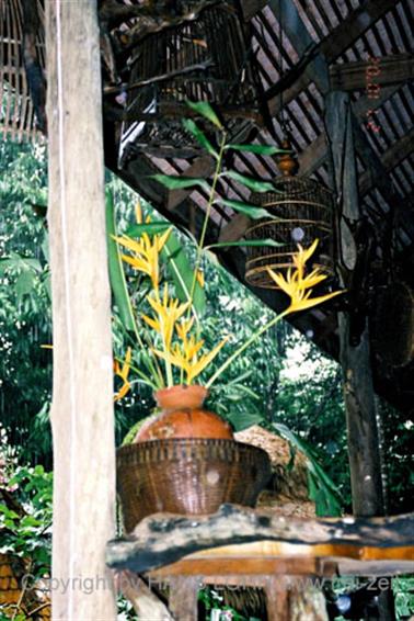 11 Thailand 2002 F1060028 Khao Lak Ausflug Khao Sok_478